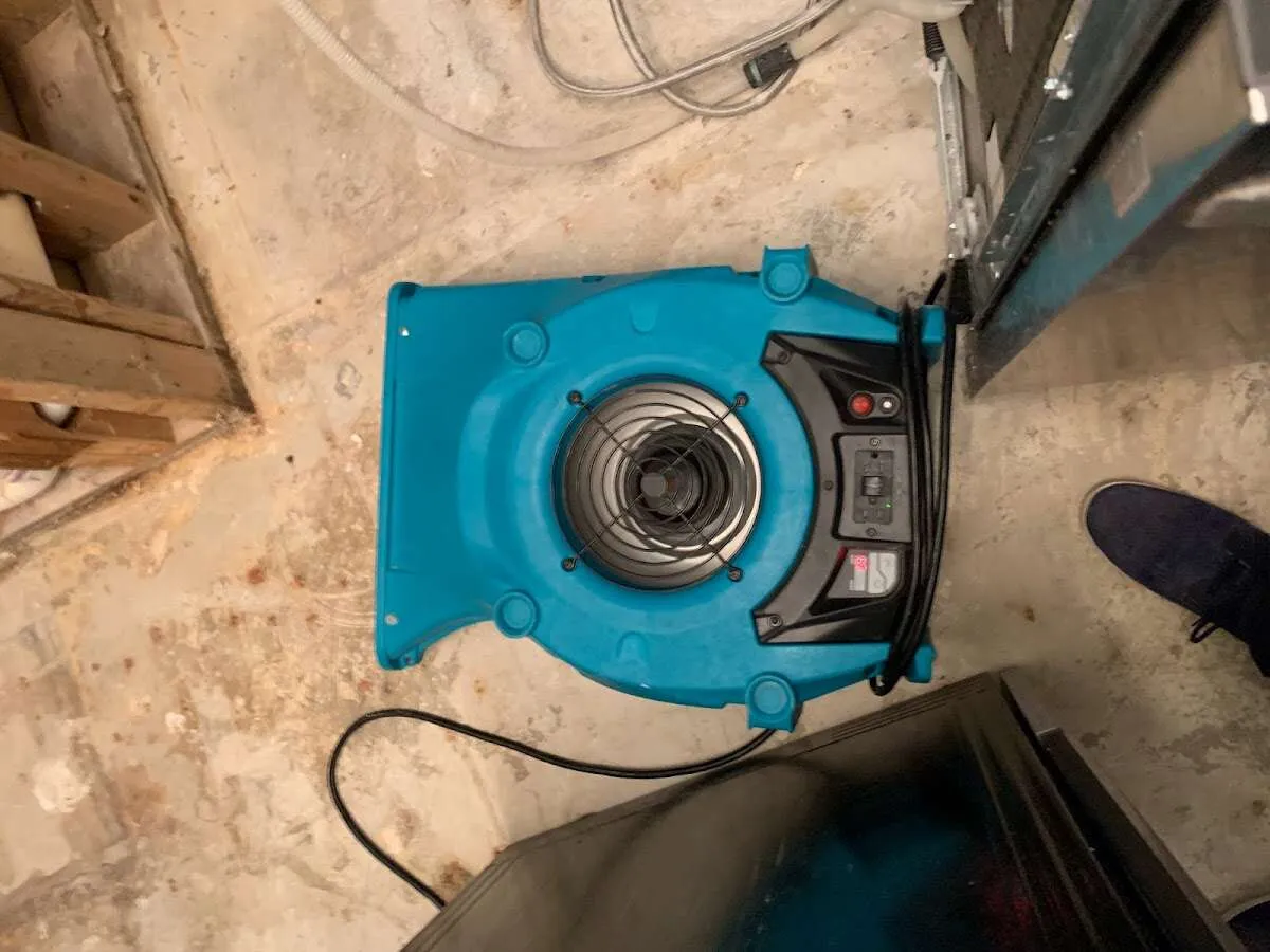 Air mover drying equipment for Mold Remediation & Removal in Coconut Creek